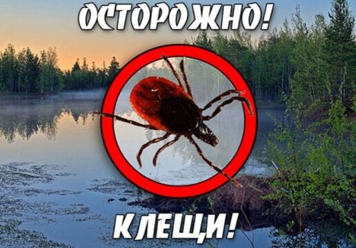 Профилактика клещевых инфекций