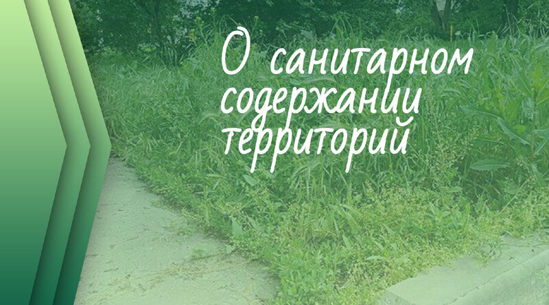 Санитарное содержание территорий населенных пунктов  Лельчицкого района
