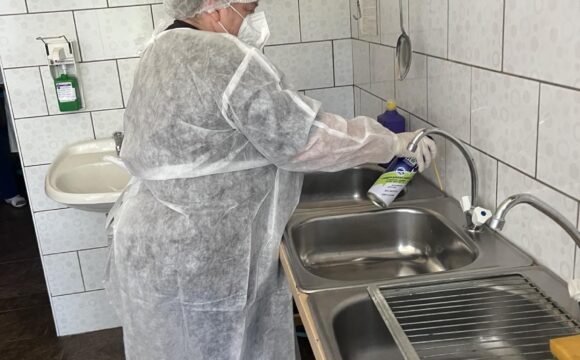 изображение_viber_2026-07-29_13-18-47-139 Оценка заселенности синантропными насекомыми