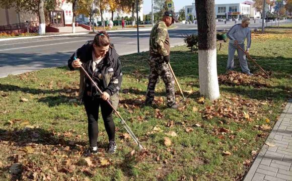 изображение_viber_2026-10-08_15-33-39-706 Порядок — общее дело